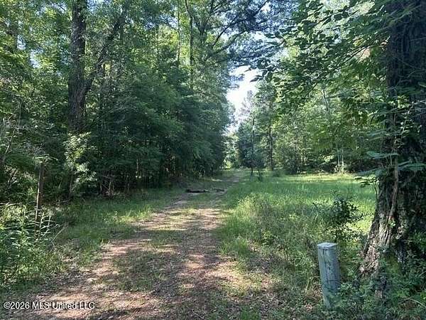9.88 Acres of Residential Land for Sale in Crosby, Mississippi