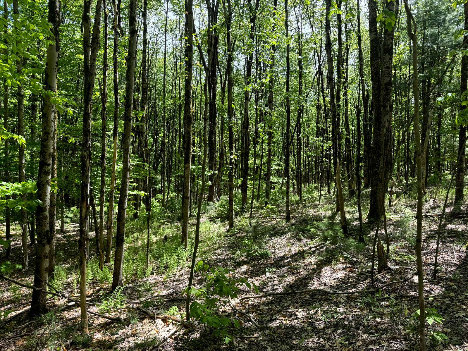 5 Acres of Residential Land for Sale in Vienna, New York