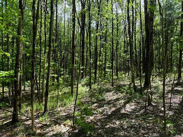 5 Acres of Residential Land for Sale in Vienna, New York