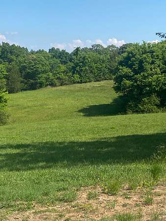 19.3 Acres of Land for Sale in Anderson, Alabama