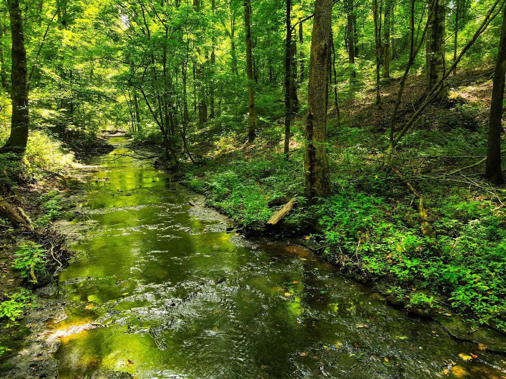 141 Acres of Land for Sale in Franklin, Tennessee