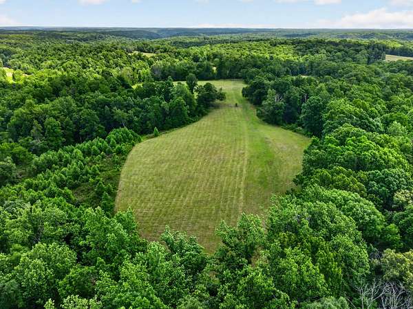 141 Acres of Land for Sale in Franklin, Tennessee