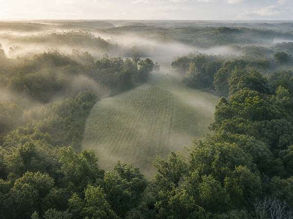 141 Acres of Land for Sale in Franklin, Tennessee