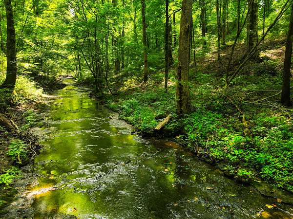 141 Acres of Land for Sale in Franklin, Tennessee