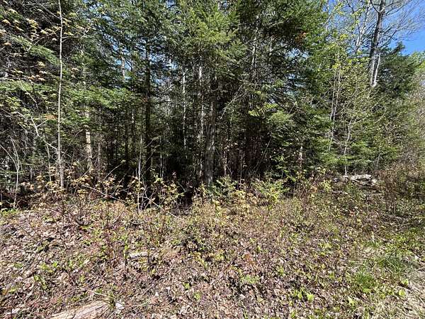 4.18 Acres of Land for Sale in Sandy River Plantation, Maine