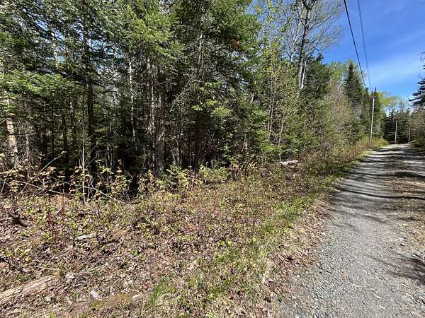 4.18 Acres of Land for Sale in Sandy River Plantation, Maine