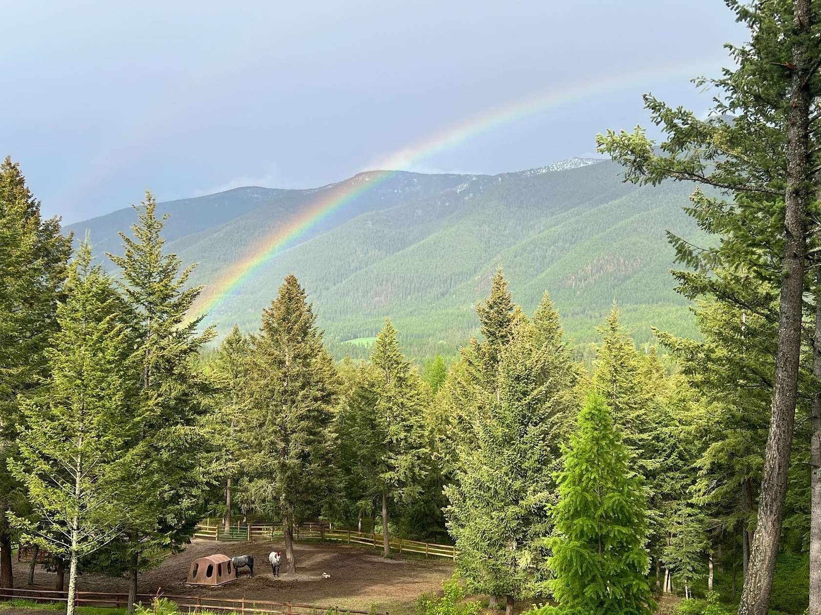 40.2 Acres of Recreational Land with Home for Sale in Eureka, Montana