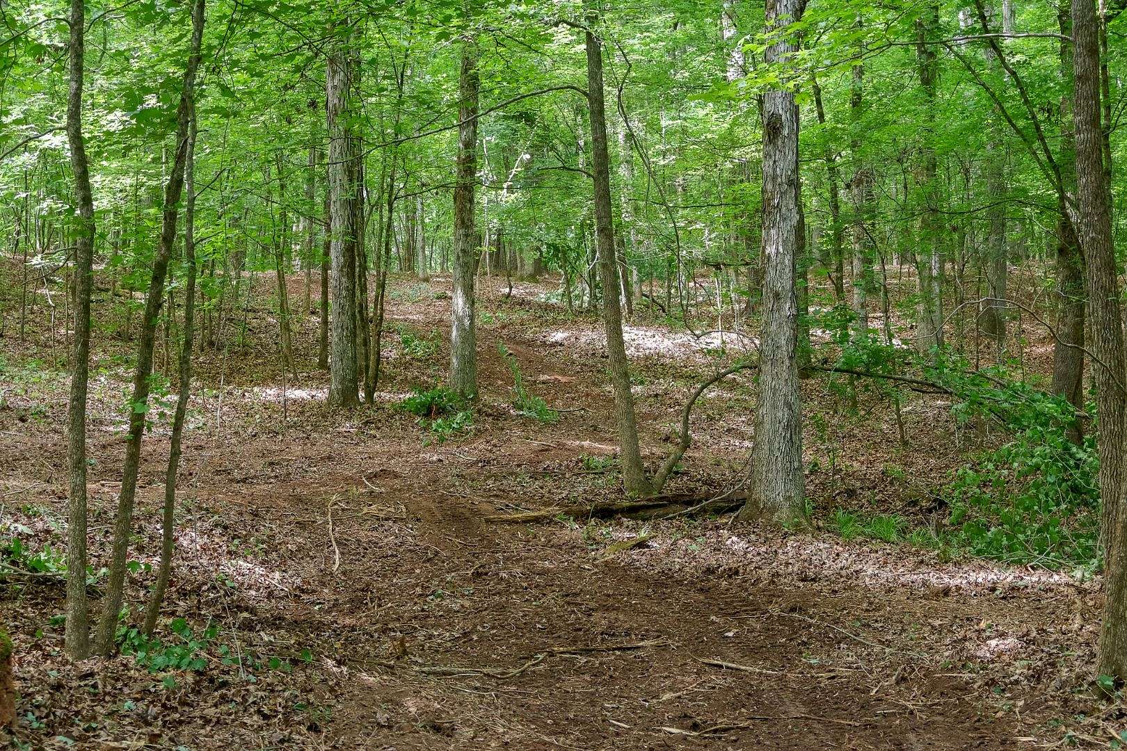 37 Acres of Land for Sale in Buckhead, Georgia