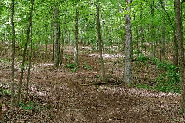 37 Acres of Land for Sale in Buckhead, Georgia