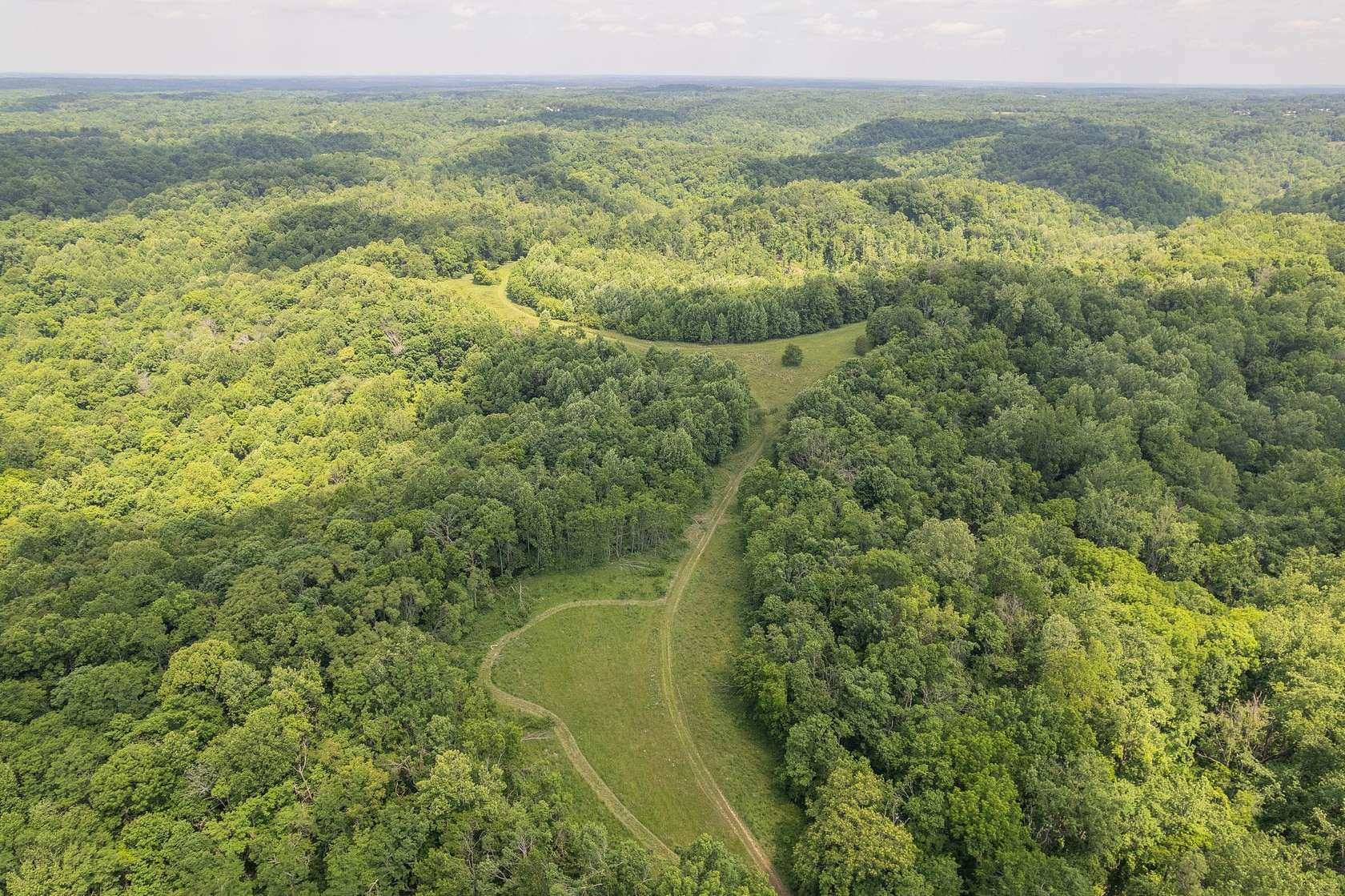 72.9 Acres of Recreational Land for Sale in Bethpage, Tennessee