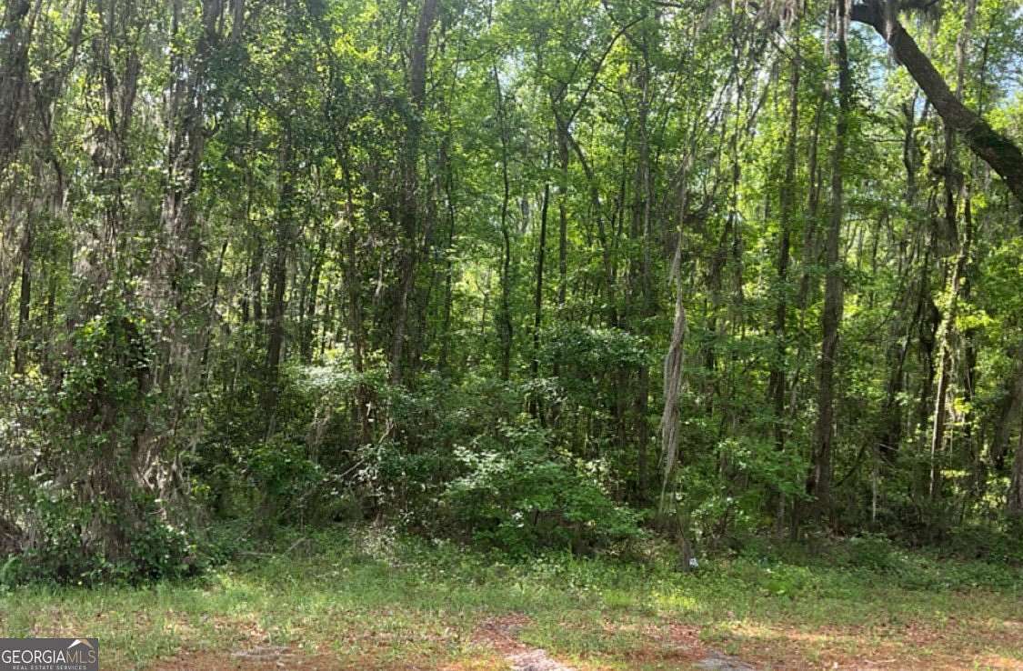 14.6 Acres of Recreational & Residential Land for Sale in Townsend, Georgia