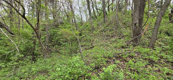 0.11 Acres of Residential Land for Sale in Gary, Indiana