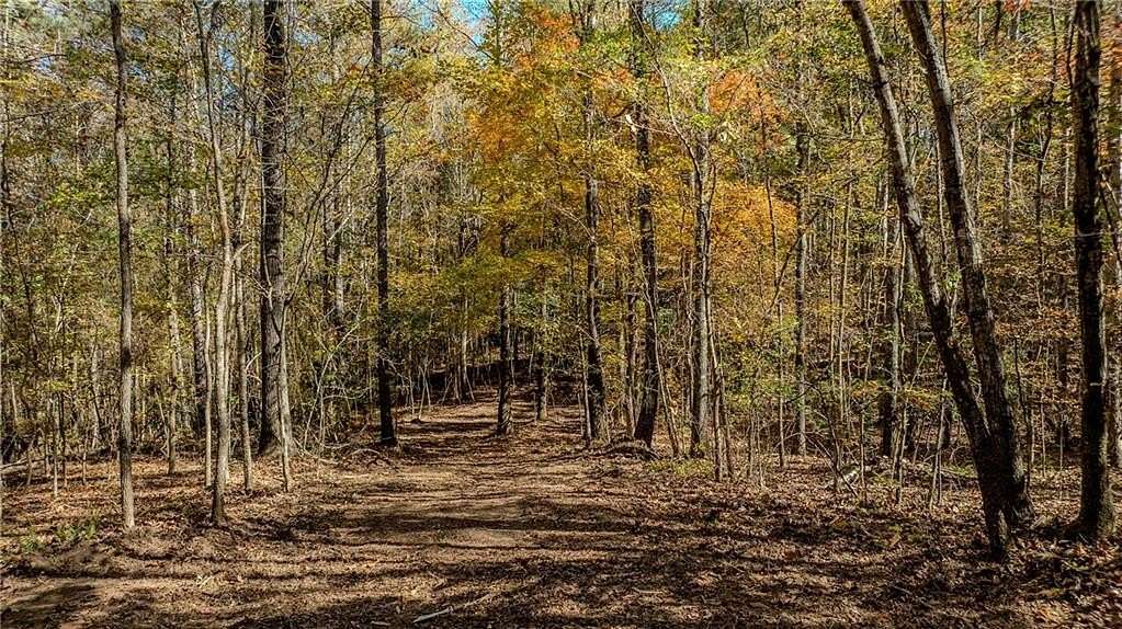 9 Acres of Land for Sale in Chattahoochee Hills, Georgia