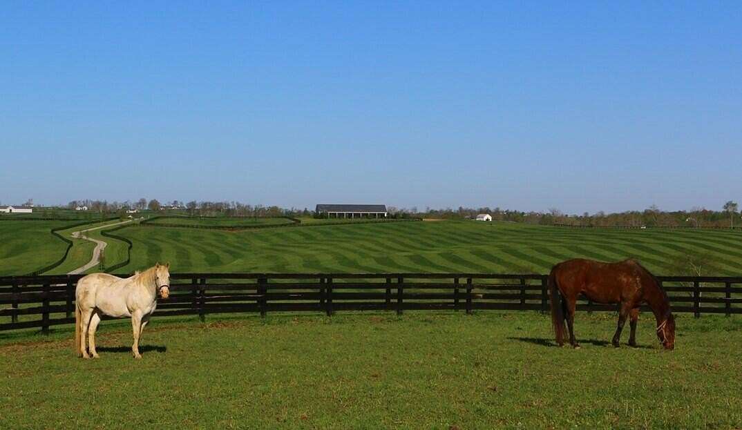 825 Acres of Agricultural & Residential Land for Sale in Paris, Kentucky