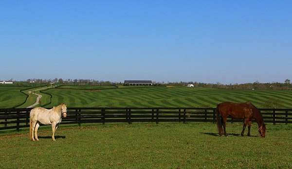 825 Acres of Agricultural & Residential Land for Sale in Paris, Kentucky