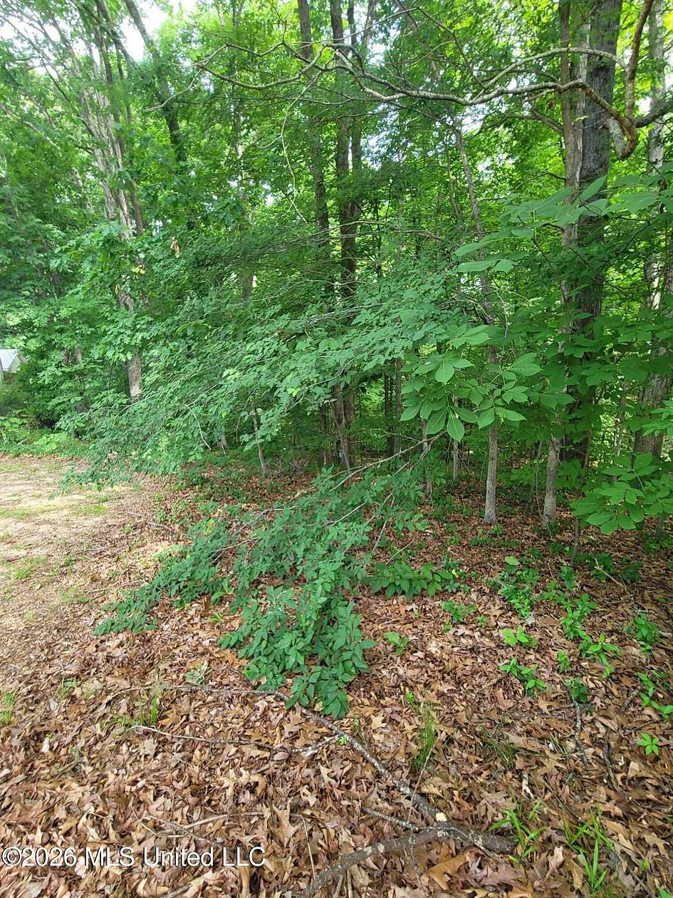 0.61 Acres of Residential Land for Sale in Hernando, Mississippi