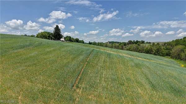 10.9 Acres of Recreational Land for Auction in Fresno, Ohio