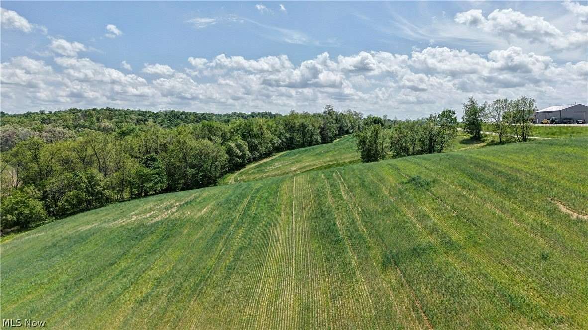 10.9 Acres of Recreational Land for Auction in Fresno, Ohio