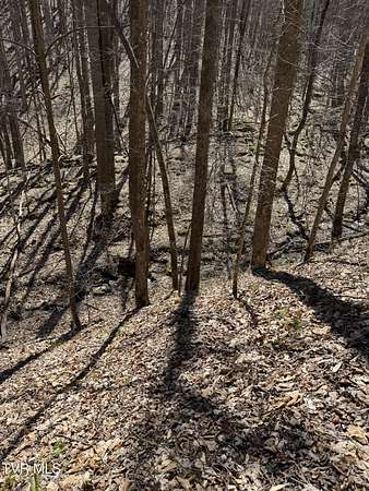 53.2 Acres of Recreational Land for Sale in Coeburn, Virginia
