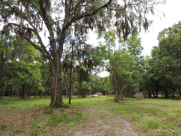 4.75 Acres of Residential Land for Sale in Hastings, Florida