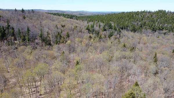 40 Acres of Recreational Land for Sale in Ishpeming, Michigan
