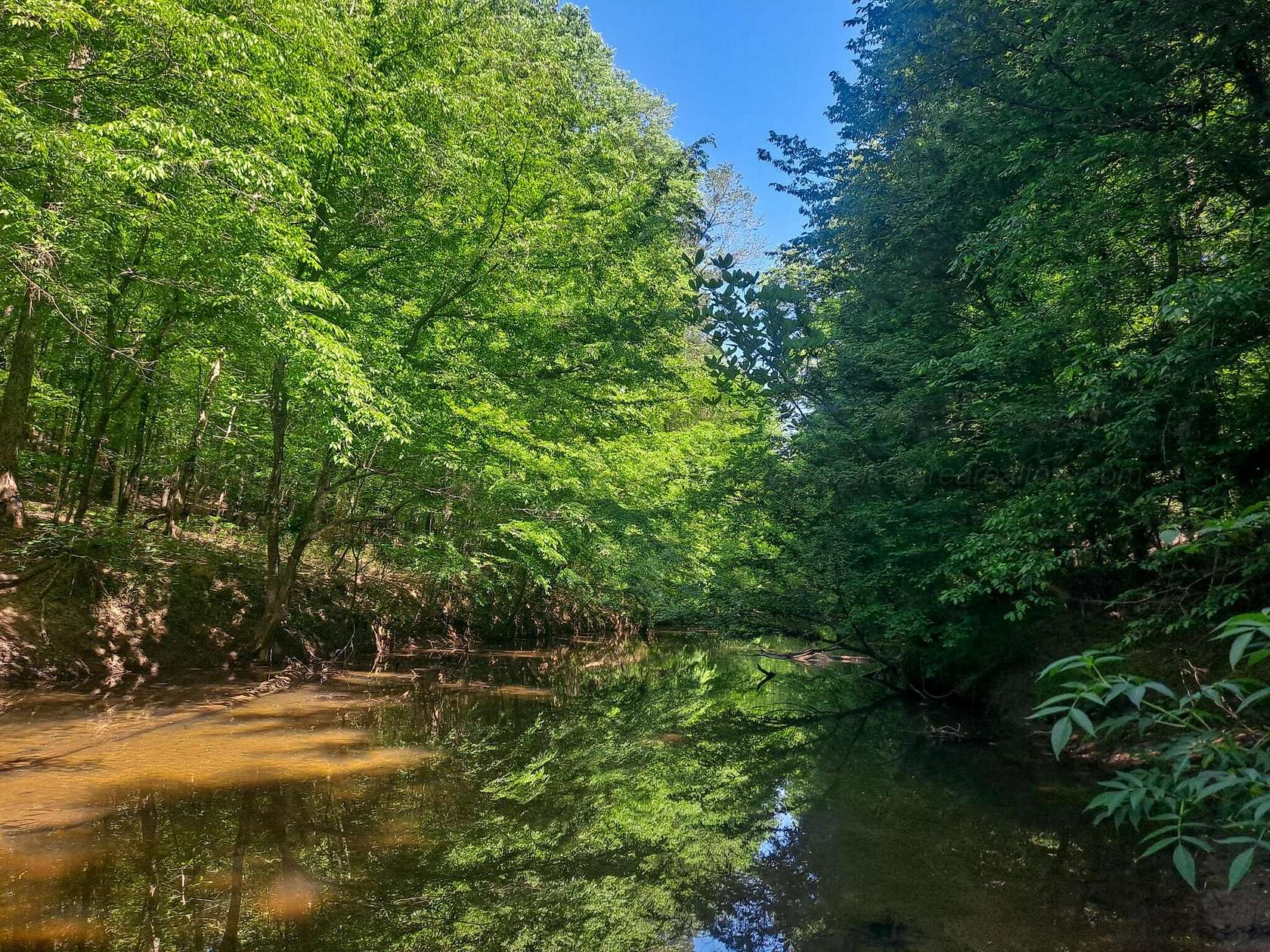 Land for Sale in Carbon Hill, Alabama