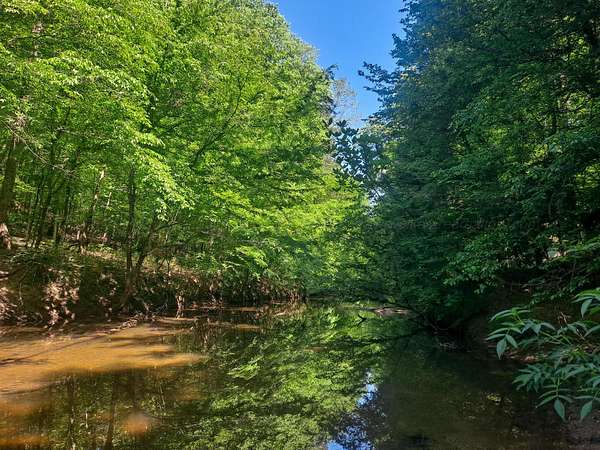 Land for Sale in Carbon Hill, Alabama