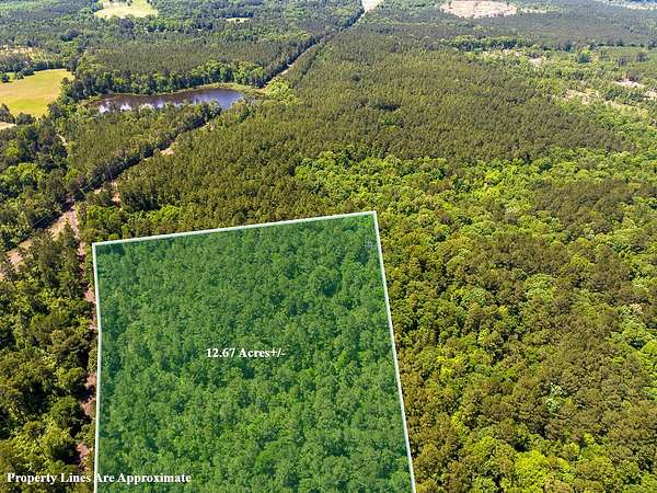 12 Acres of Recreational & Residential Land for Sale in Atlanta, Texas