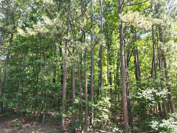 0.49 Acres of Land for Sale in Tumbling Shoals, Arkansas