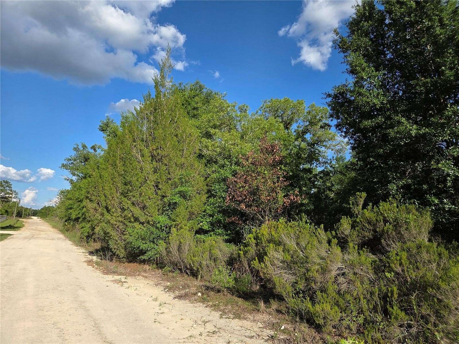 1.25 Acres of Residential Land for Sale in Bronson, Florida