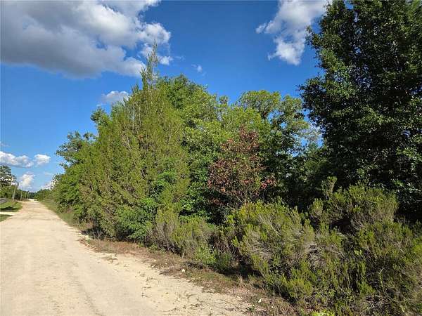 1.25 Acres of Residential Land for Sale in Bronson, Florida