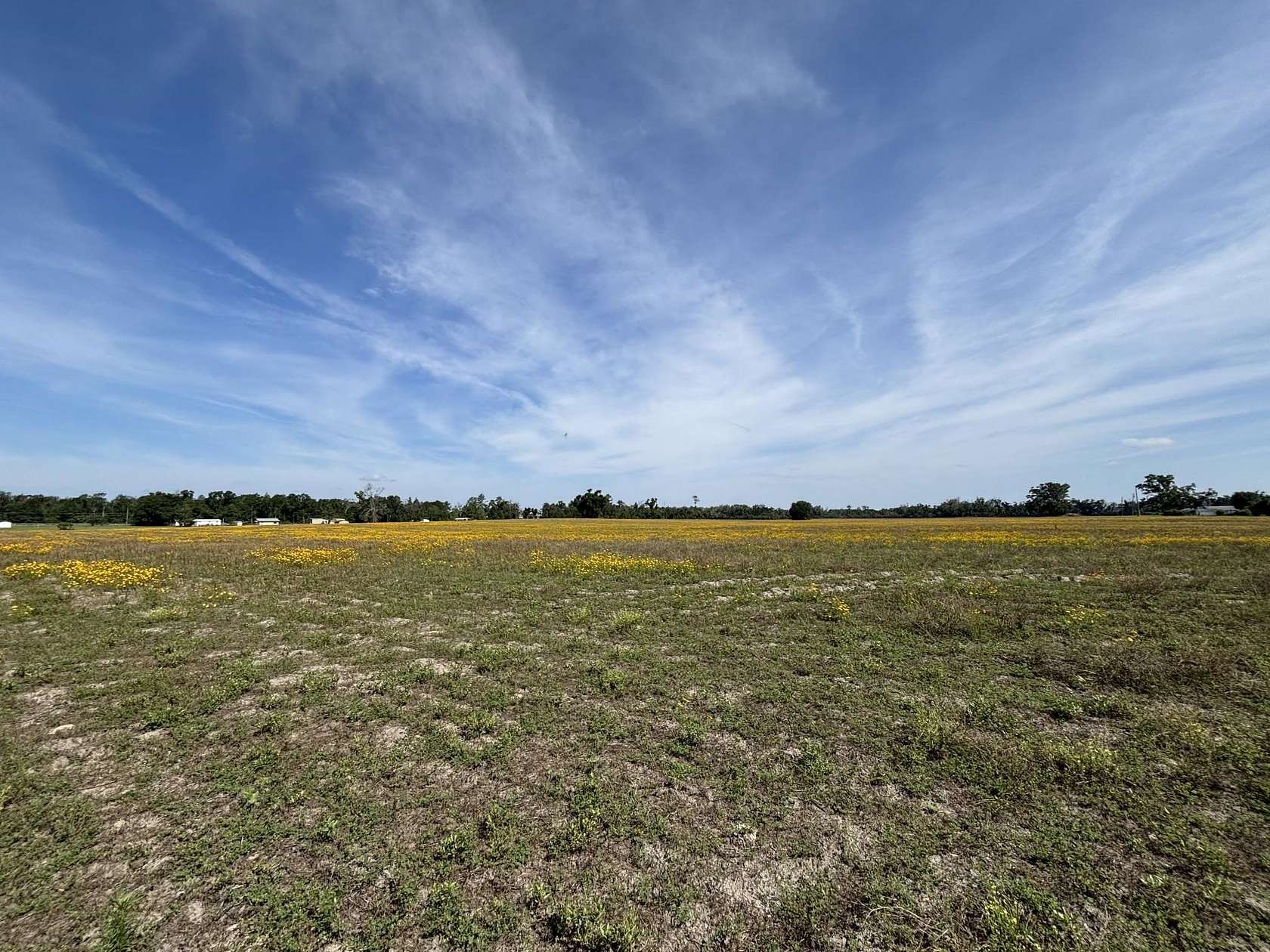 36.7 Acres of Agricultural & Residential Land for Sale in Lee, Florida
