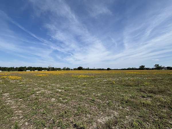 36.7 Acres of Agricultural & Residential Land for Sale in Lee, Florida