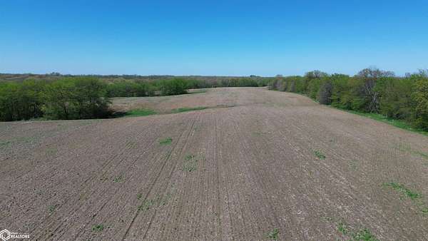 60 Acres of Land for Sale in Floris, Iowa