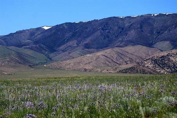21.9 Acres of Recreational Land for Sale in Belfry, Montana