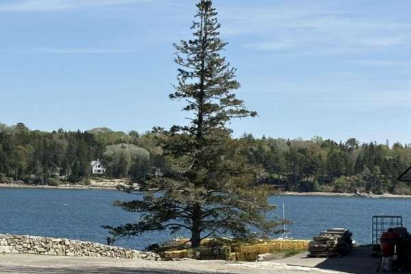12.2 Acres of Land for Sale in Friendship, Maine