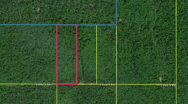 13 Acres of Recreational Land for Sale in McMillan, Michigan