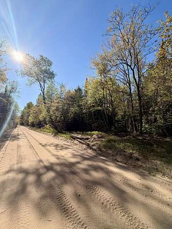 13 Acres of Recreational Land for Sale in McMillan, Michigan