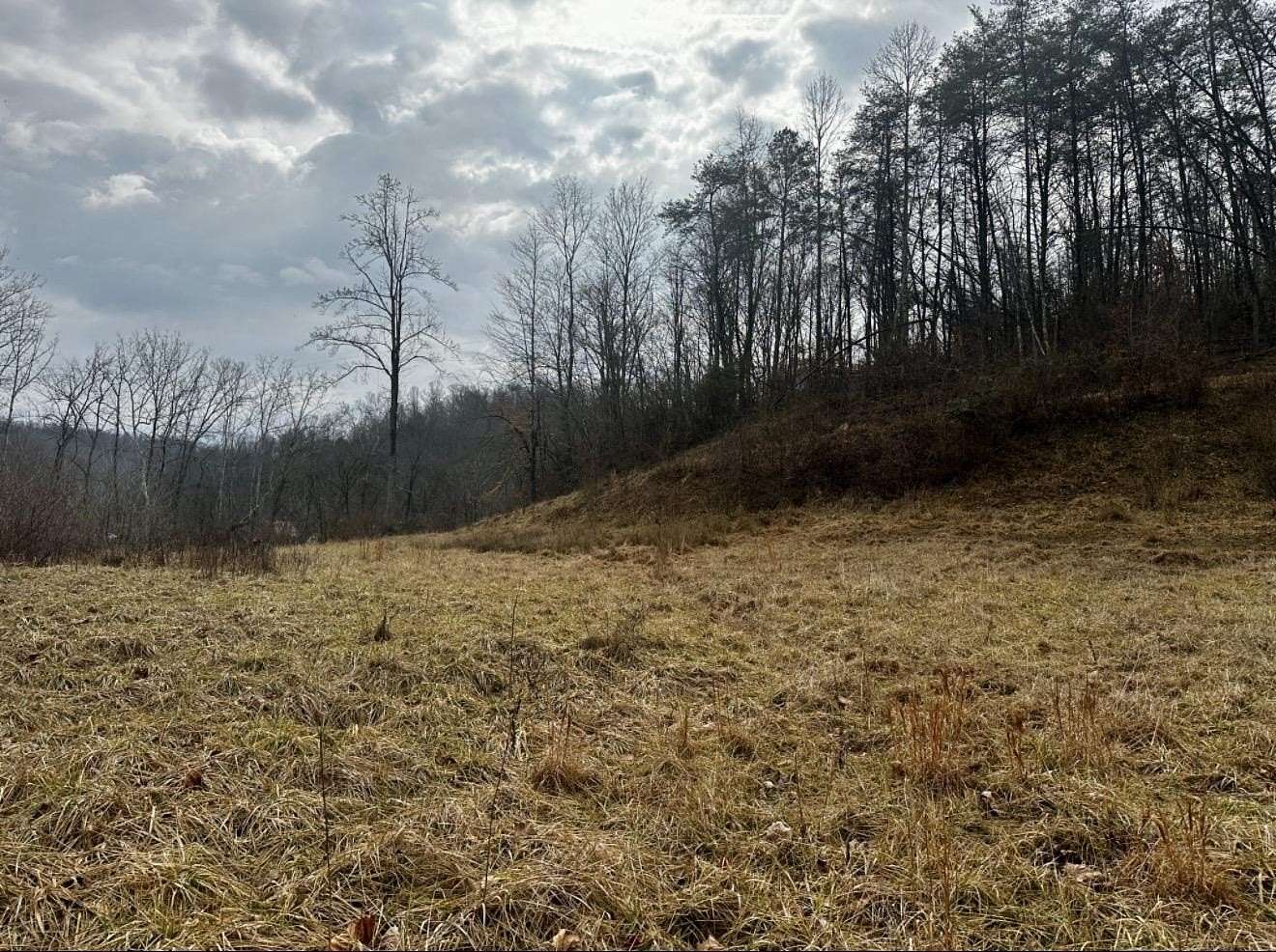 97 Acres of Recreational & Residential Land for Sale in Fort Gay, West Virginia