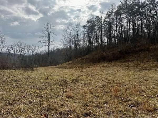 97 Acres of Recreational & Residential Land for Sale in Fort Gay, West Virginia
