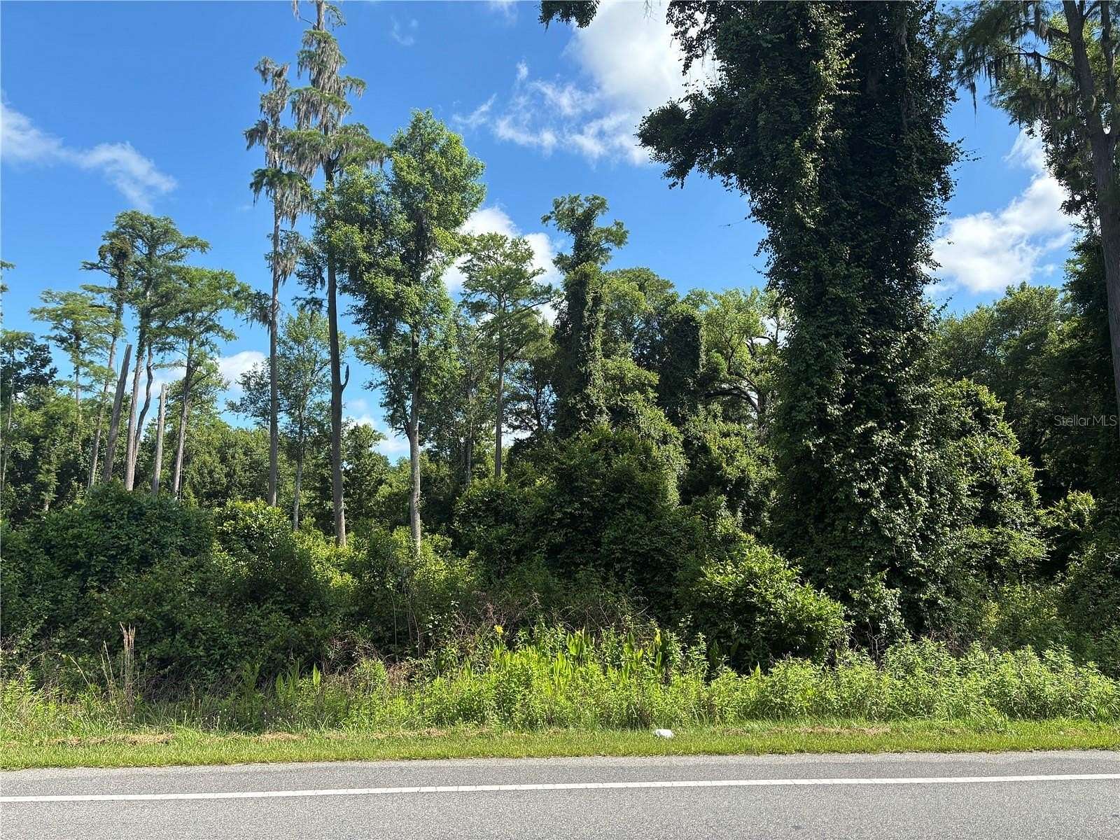 1.14 Acres of Residential Land for Sale in Bunnell, Florida
