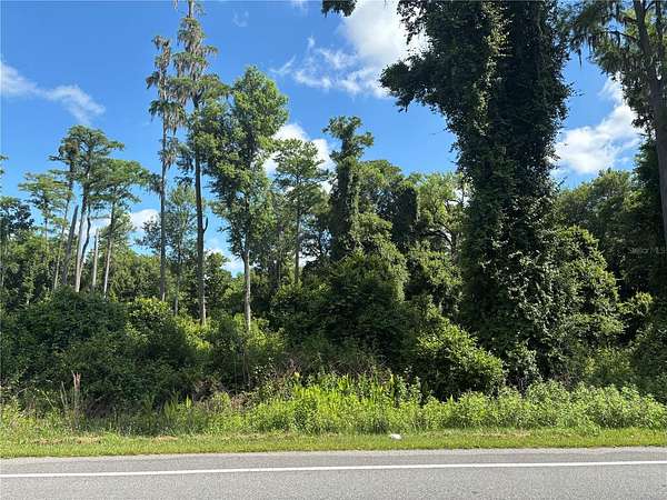 1.14 Acres of Residential Land for Sale in Bunnell, Florida