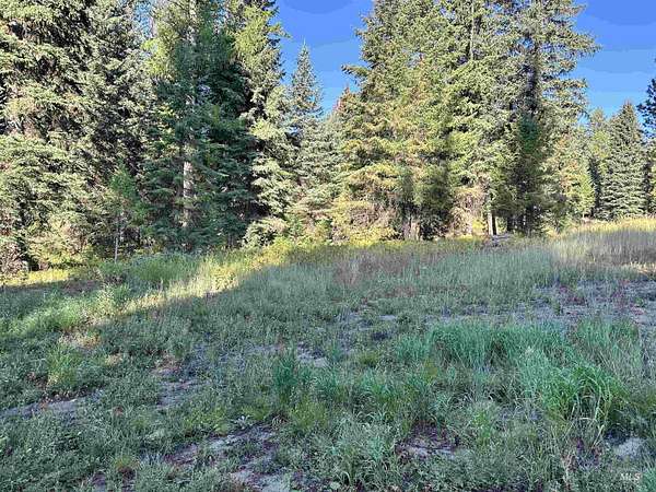 0.33 Acres of Residential Land for Sale in Donnelly, Idaho