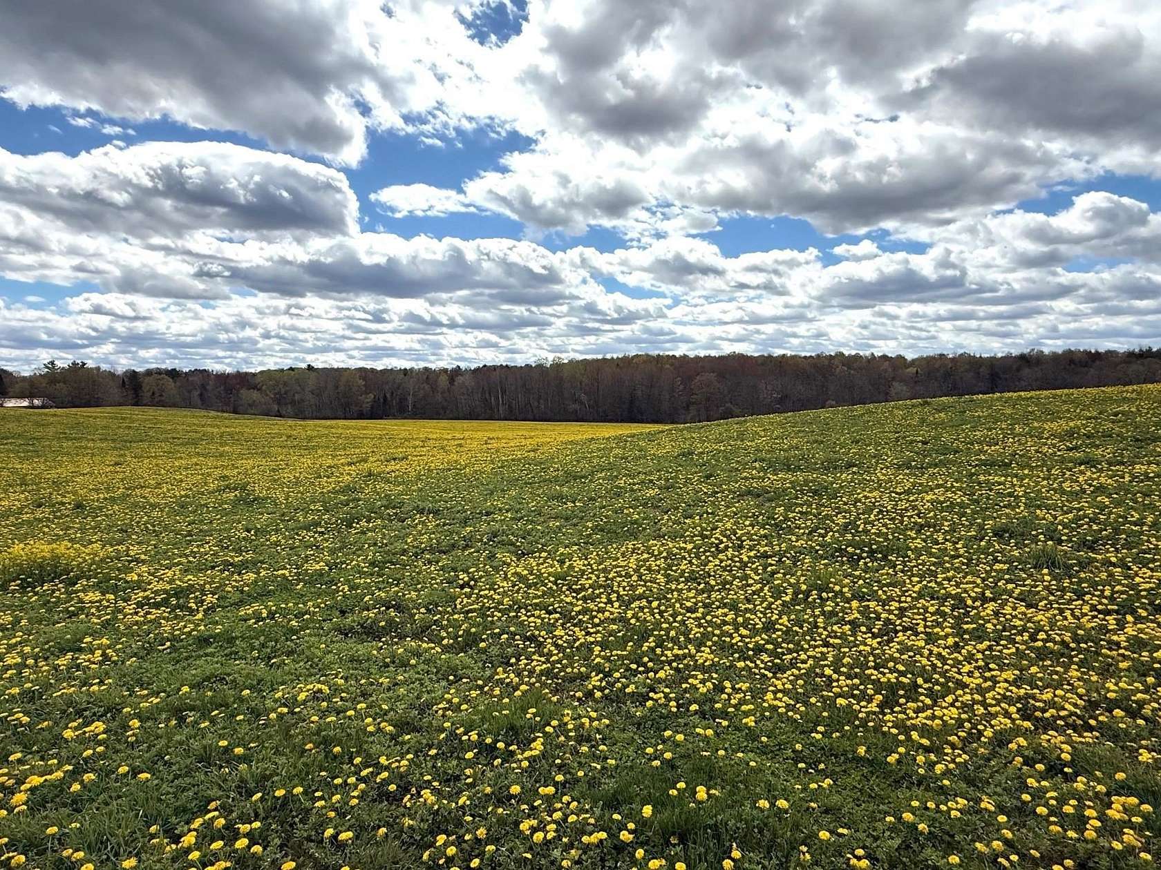 69.4 Acres of Recreational Land for Sale in Birnamwood, Wisconsin