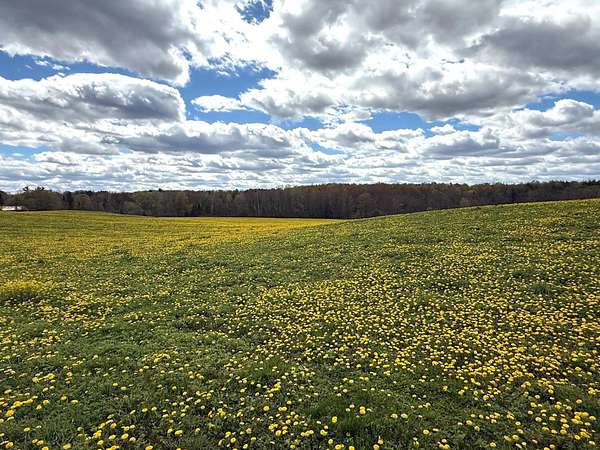 69.4 Acres of Recreational Land for Sale in Birnamwood, Wisconsin