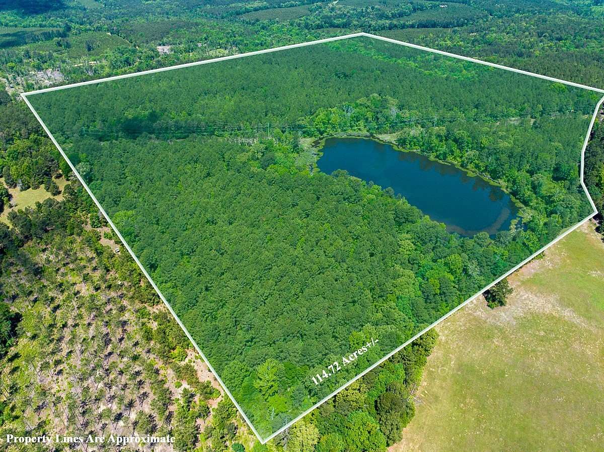 114 Acres of Recreational & Residential Land for Sale in Atlanta, Texas