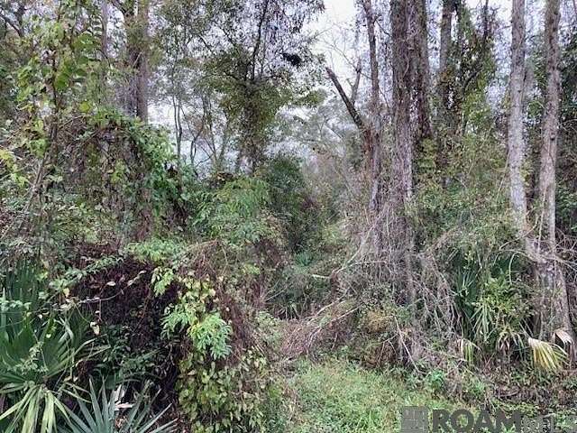 0.52 Acres of Land for Sale in Denham Springs, Louisiana