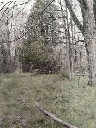 3.32 Acres of Land for Sale in Bangor, Michigan