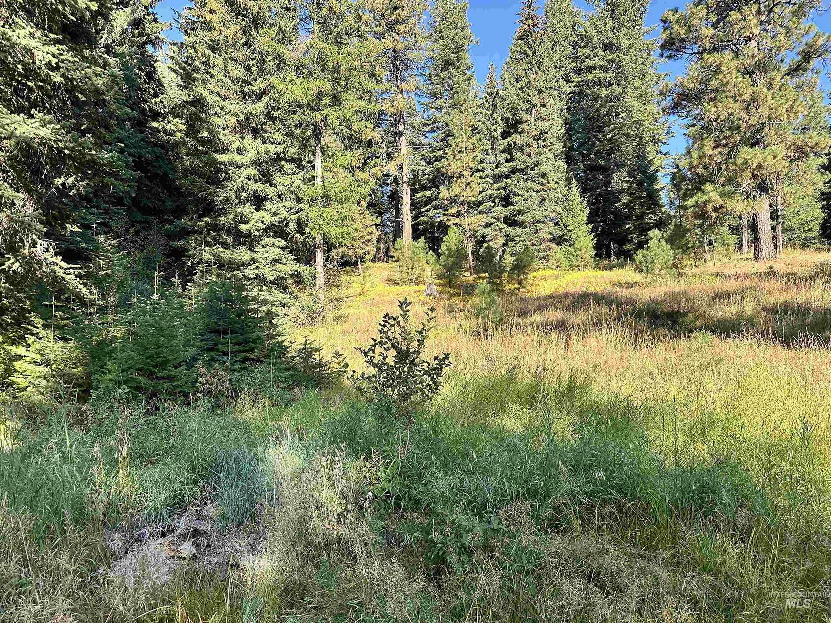 0.33 Acres of Residential Land for Sale in Donnelly, Idaho