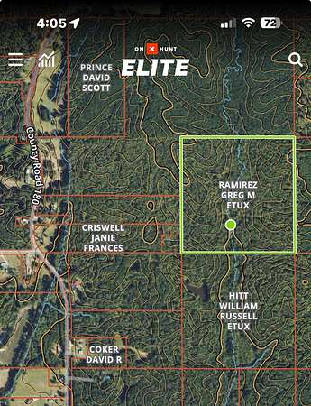 39.9 Acres of Recreational & Residential Land for Sale in Blue Springs, Mississippi